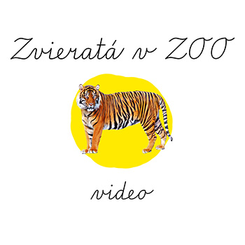 zvierata-v-zoo-video